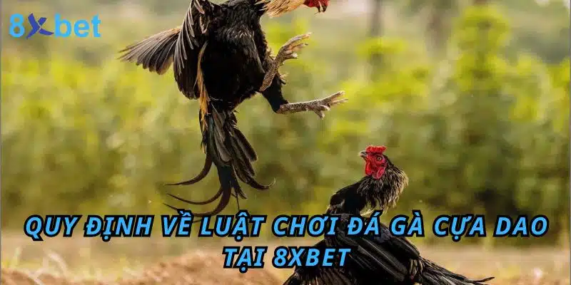 Quy định về Luật chơi Đá Gà cựa dao tại 8XBET